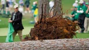 Read more about the article The Masters: No injuries as three trees fall at Augusta | Play suspended due to storms | Golf News