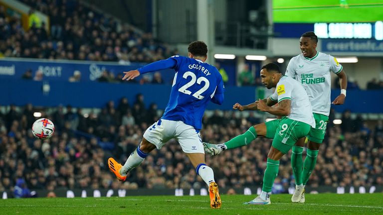 Callum Wilson scores his second and Newcastle&#39;s third