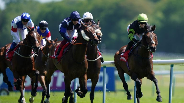 Solent Gateway wins at Haydock under Hollie Doyle