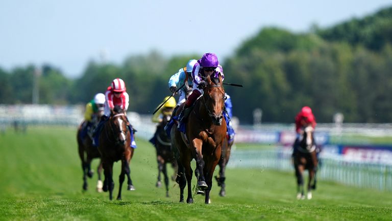 Little Big Bear proves too good for his rivals in the Sandy Lane Stakes