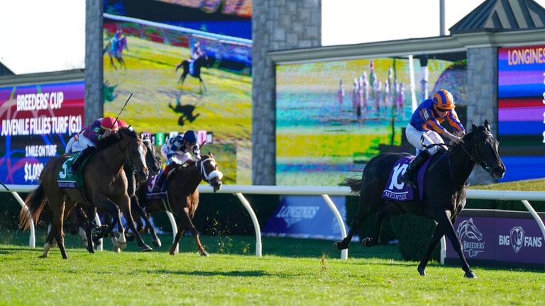 Meditate streaks clear of her rivals at Keeneland