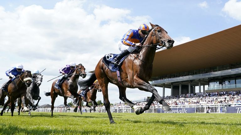 Paddington was cut to 4/1 for the St James&#39;s Palace Stakes at Royal Ascot