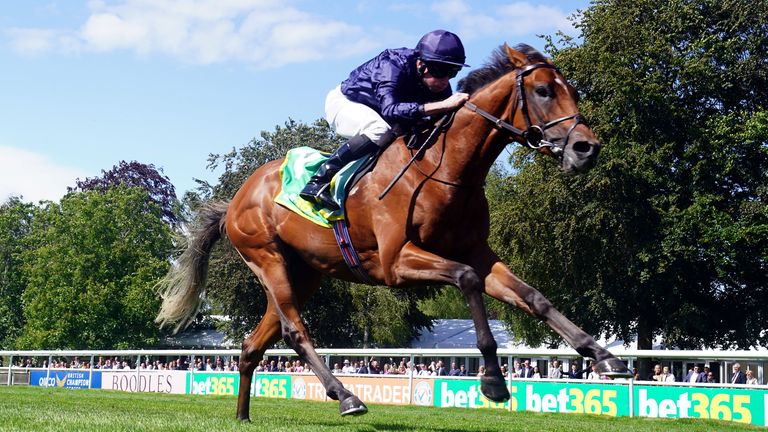 City Of Troy has shot to the top of next year&#39;s 2000 Guineas and Derby markets