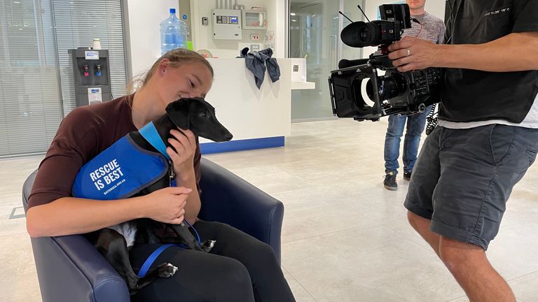 Fox enjoyed a day at Battersea Dogs&#39; Home while she recovers from an ACL injury.