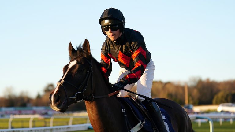 Tamaris and Freddie Gingell going to post before the At The Races App Expert Tips Handicap Hurdle at Fontwell 