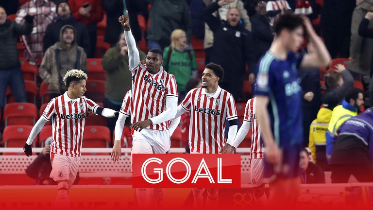 Stoke City&#39;s Wesley celebrates 