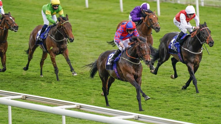 Bedford Flyer in winning action at York