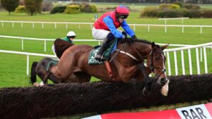 Read more about the article Facile Vega: Willie Mullins’ star novice chaser impresses on fencing debut at Navan | Racing News