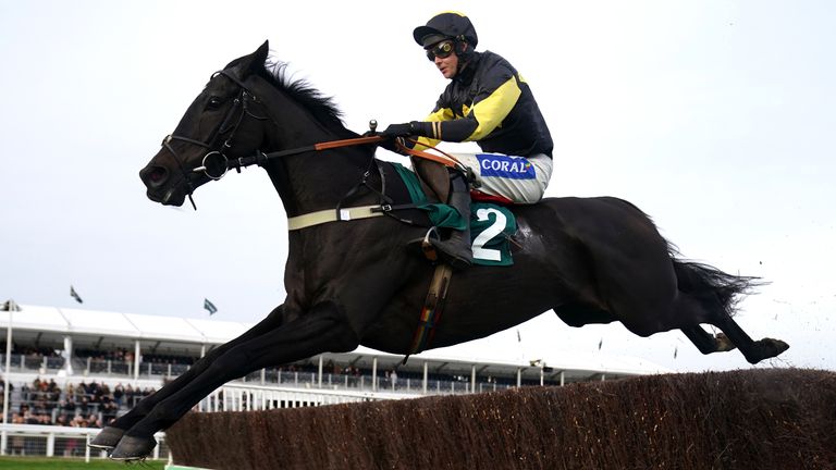 JPR One and Brendan Powell prior to unseating at Cheltenham on Friday