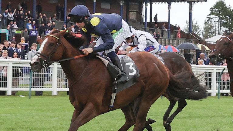 Pink Crystal ridden by jockey Jason Hart on their way to winning the Arran Scottish Sprint EBF Fillies&#39; Stakes during day two of the Virgin Bet Ayr Gold Cup Festival at Ayr 