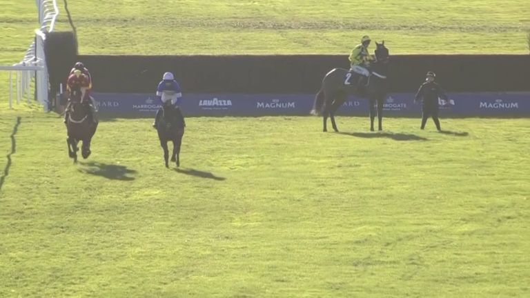 Shishkin (yellow and black) whips round and refuses to race at Ascot