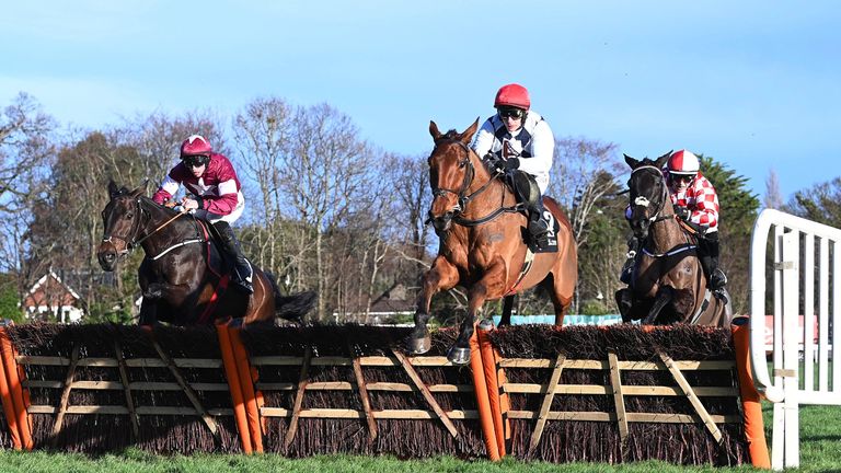 Ballyburn wins the Pigsback Maiden Hurdle at Leopardstown