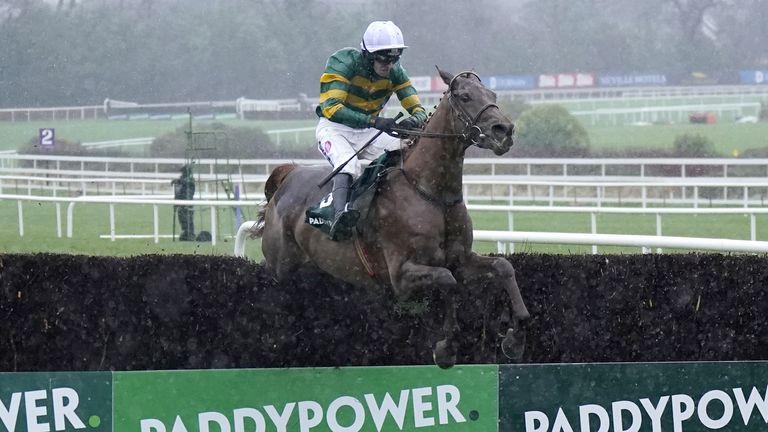 Dinoblue and Mark Walsh win at Leopardstown