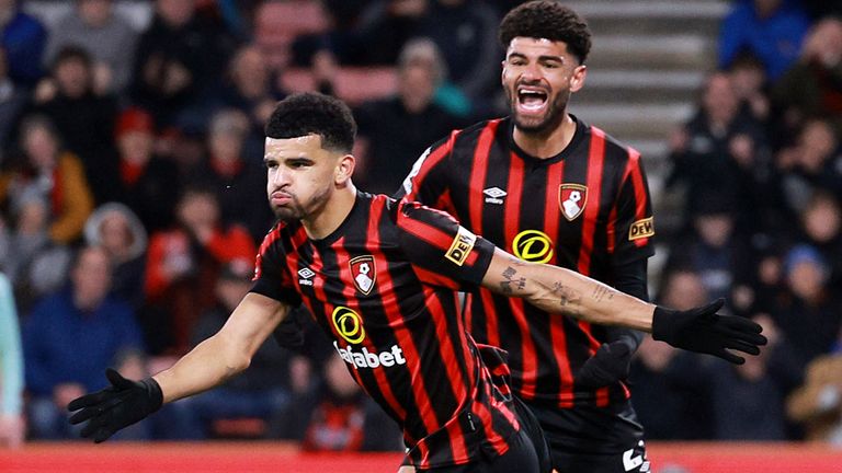 Dominic Solanke celebrates his equaliser