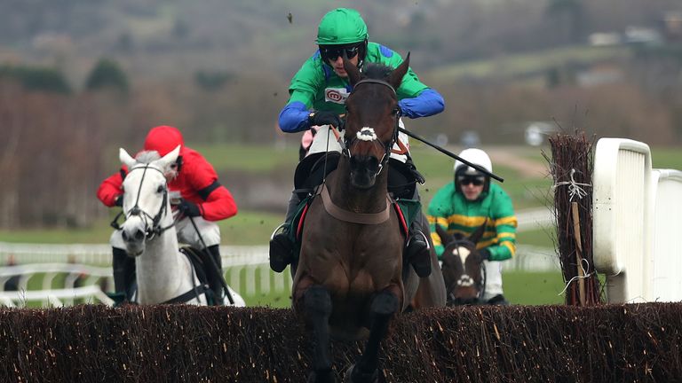 Ginny&#39;s Destiny ridden by Harry Cobden jumps the last before winning the Cheltenham and South-West Racing Club Novices&#39; Chase during day one of the The Christmas Meeting at Cheltenham