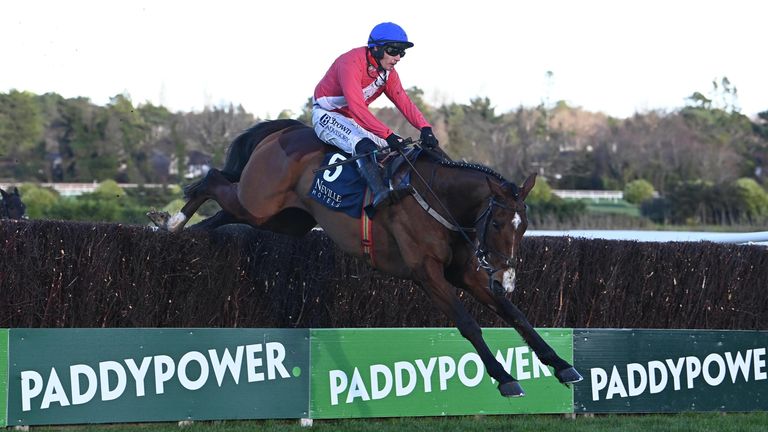 Grangeclare West and Paul Townend win the Neville Hotels Novice Chase