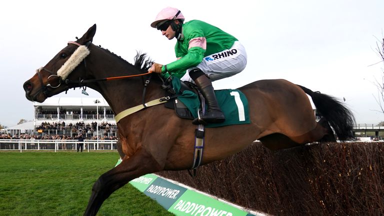 Homme Public ridden by jockey Henry Brooke on their way to winning the Sss Super Alloys Arkle Challenge Trophy Trial Novices&#39; Chase on day one of The November Meeting at Cheltenham 