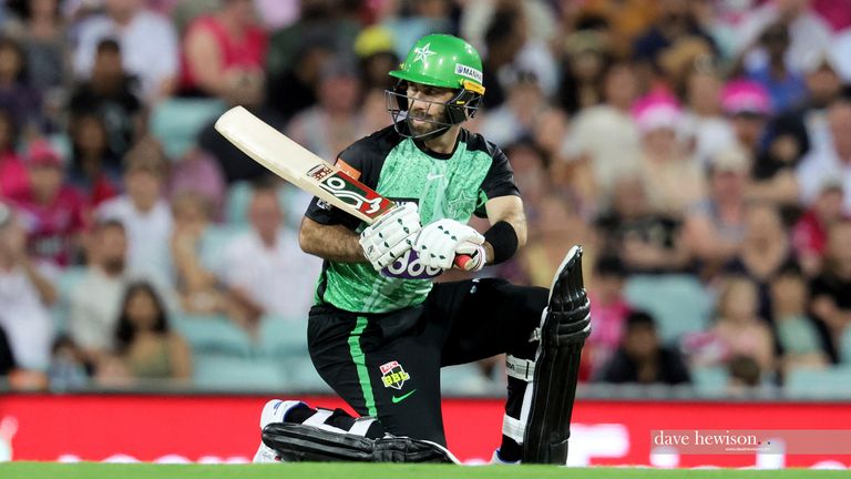 This season Glenn Maxwell made 243 runs with the Melbourne Stars