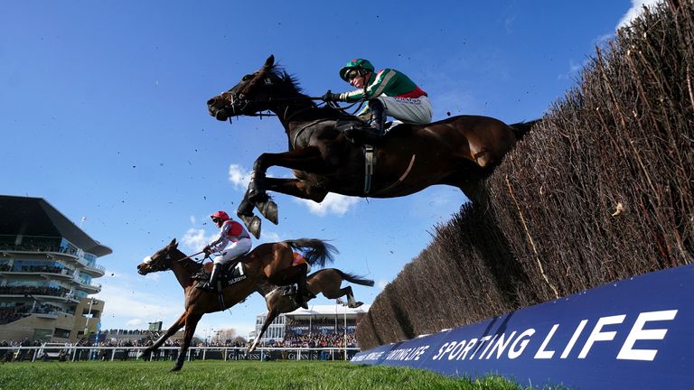 Iceo Madrik (near) clears a fence in the Ultima at Cheltenham