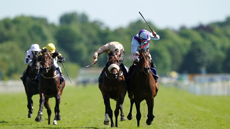 Bosh (right) is an eye-catching runner at Doncaster this afternoon