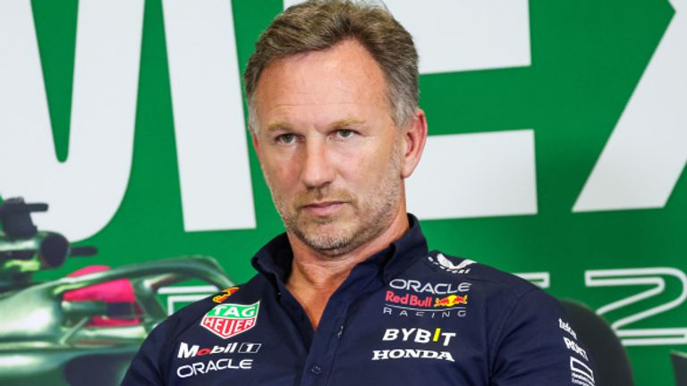 Red Bull team principal Christian Horner