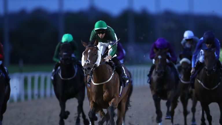 Gulliver in action for Ireland during the Racing League