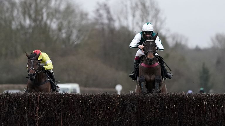 L&#39;Homme Presse still holds hopes for the Cheltenham Gold Cup