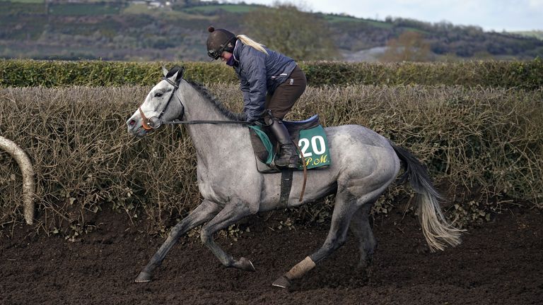 Lossiemouth on show at the Willie Mullins' media day 