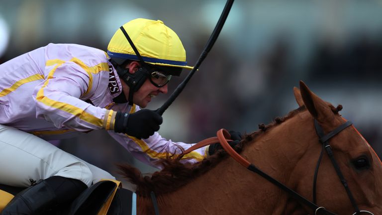 Luccia is one of four Nicky Henderson declarations for the Betfair Hurdle...