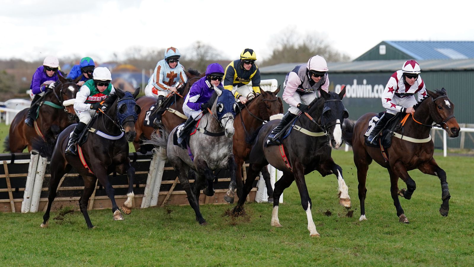 Read more about the article Today on Sky Sports Racing: Sir Rock bids for a hat-trick at Plumpton | Racing News