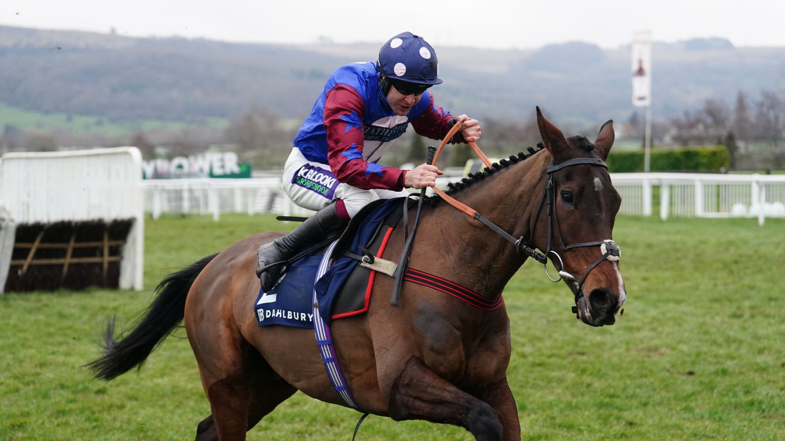 You are currently viewing Beloved Staying star Paisley Park bows out at Cheltenham | Racing News