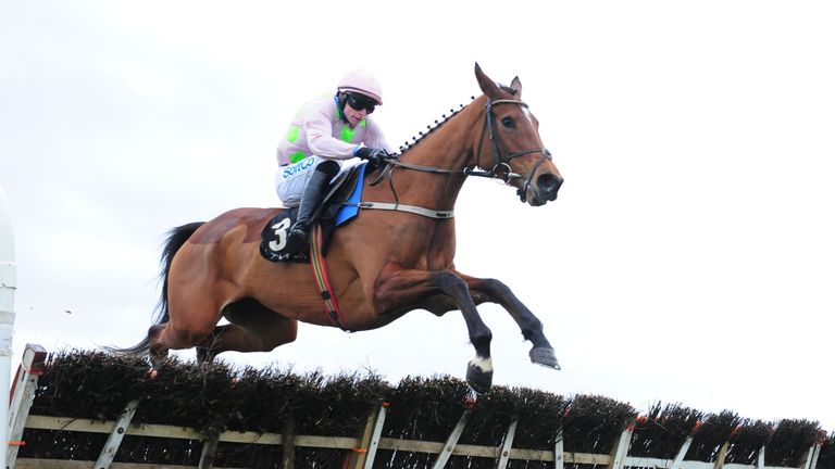 Allegorie De Vassy and Sean O'Keeffe win the BetVictor Solerina Mares Novice Hurdle at Fairyhouse