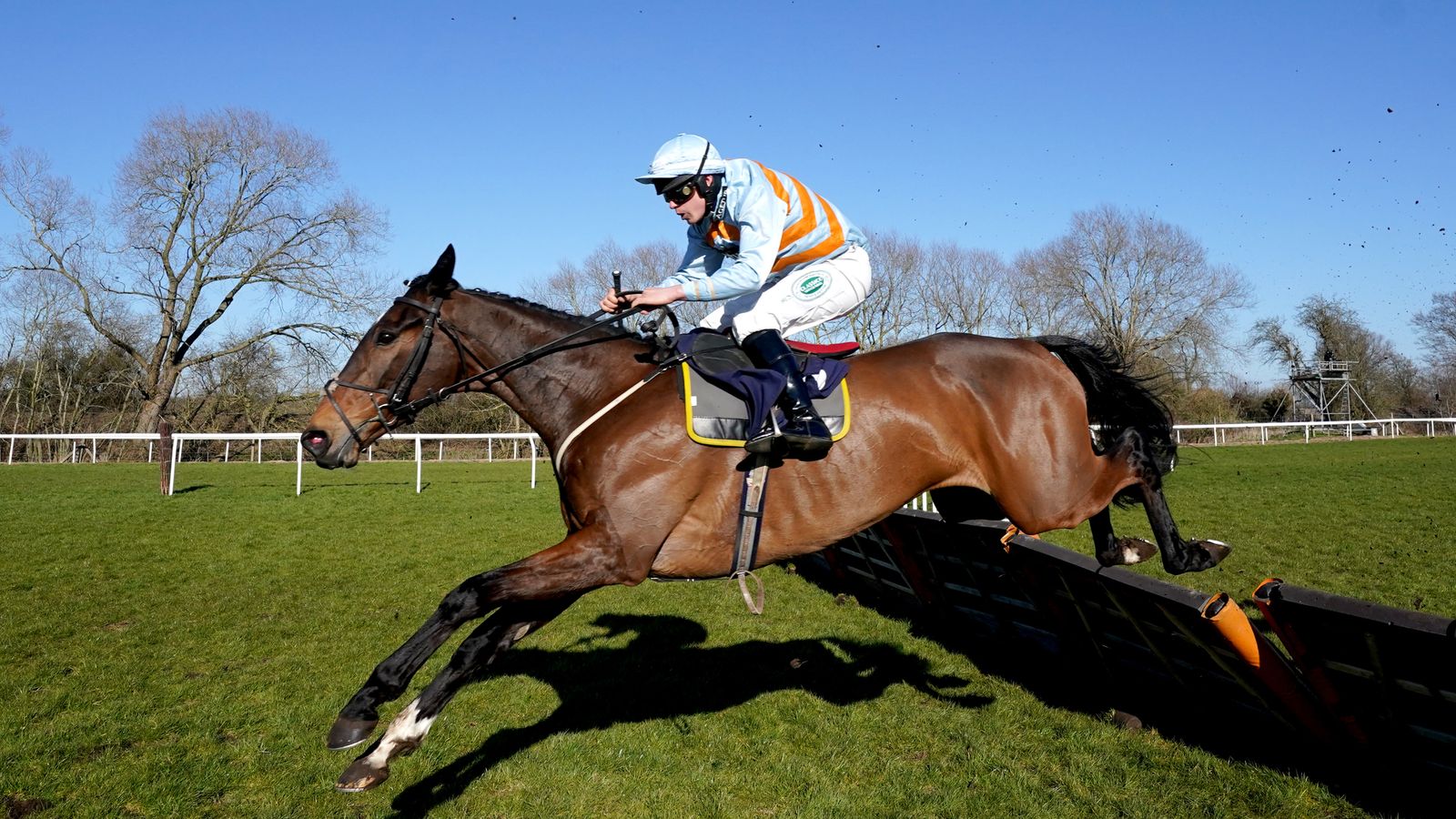 You are currently viewing Midlands Grand National: A horse-by-horse guide to Uttoxeter feature | Racing News