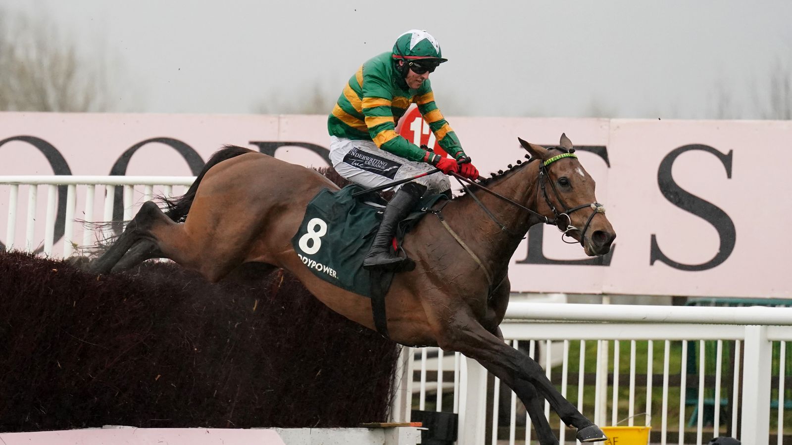 Read more about the article Cheltenham Festival: Limerick Lace soars home in the Mares’ Chase | Racing News