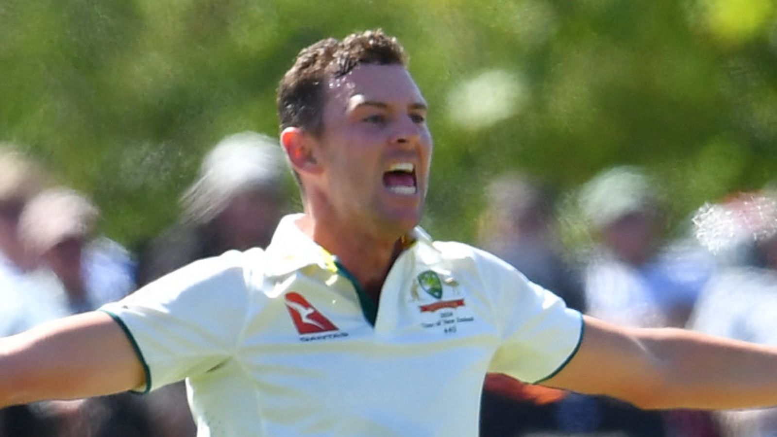 Read more about the article New Zealand vs Australia: Josh Hazlewood five-for bowls Black Caps out for 162 on day one of second Test | Cricket News