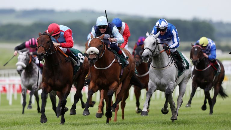 Regional (light blue cap) on the way to victory in the Sprint Cup at Haydock