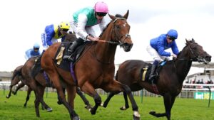 Read more about the article Weekend Winners: Hungerford Stakes best bets ahead of Newbury’s Saturday feature | Racing News