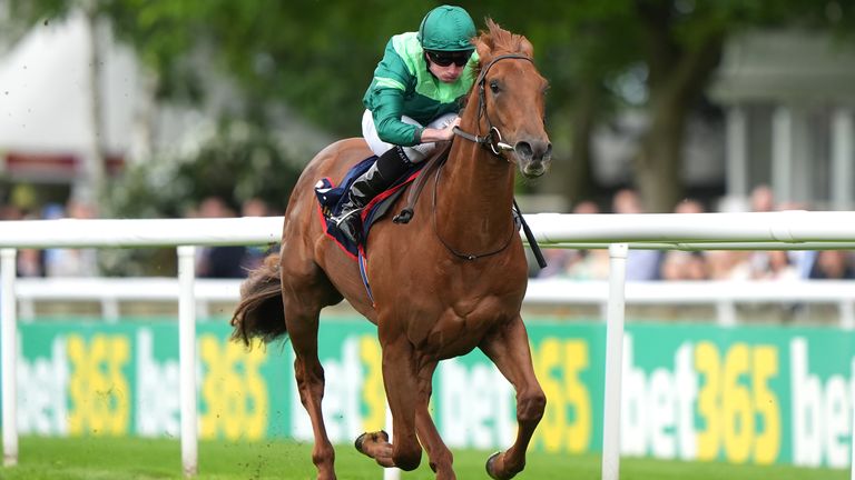 Whistlejacket goes in the Phoenix Stakes