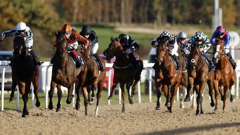 Lion's House (second left) ridden by jockey David Egan on their way to winning the Virgin Bet Best Odds Daily Cock O'The North EBF Maiden Stakes during the Virgin Bet November Handicap at Newcastle